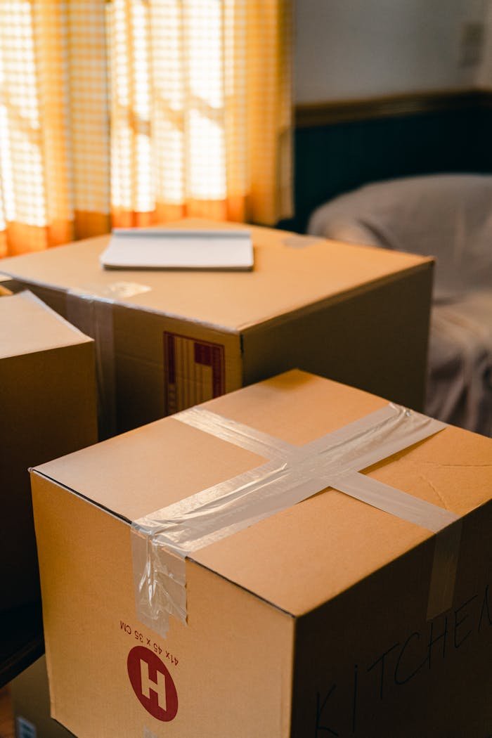 Carton boxes in living room near blinded widow